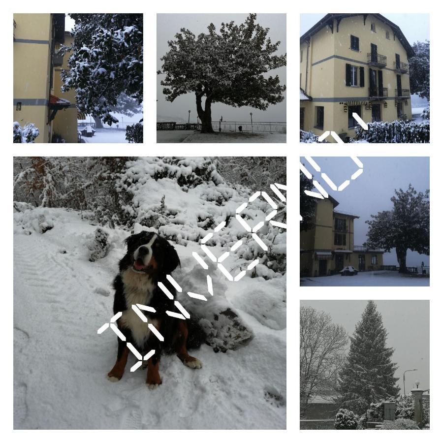Villa Magnolia Bb, Lago Maggiore Massino Visconti Exterior foto